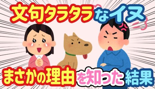 【2ch ほっこり】犬が家族旅行中に文句を言う→夫「じゃあ帰れ」と言ったが、その理由が分かった結果...