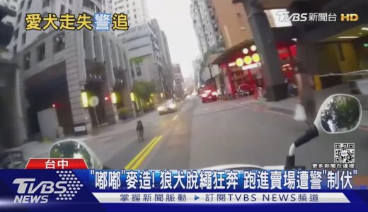 「嘟嘟」麥造! 狼犬脫繩狂奔 跑進賣場遭警「制伏」｜TVBS新聞