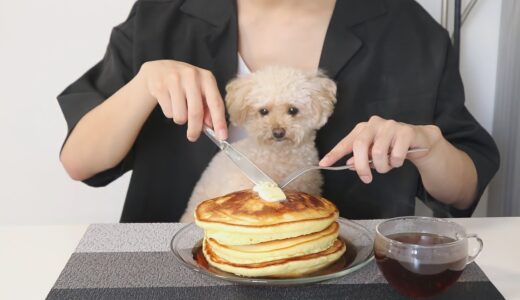 犬と暮らす一人暮らし社会人男のちょっと贅沢な夏休みのお昼｜トイプードル