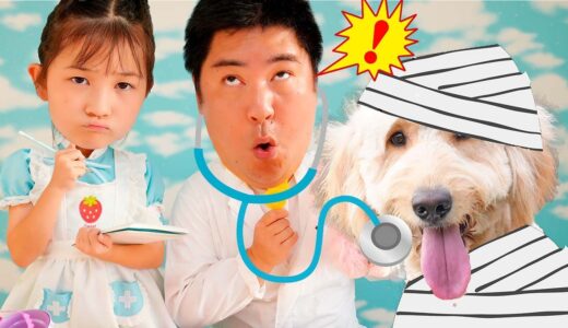 【寸劇】ある日突然！公園で珍しい犬を発見！早く先生に見てもらおう！ – はねまりチャンネル