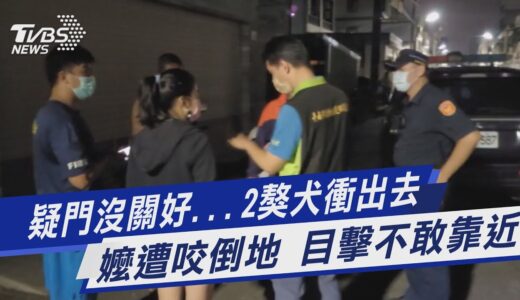 疑門沒關好…2獒犬衝出去 嬤遭咬倒地 目擊不敢靠近｜TVBS新聞