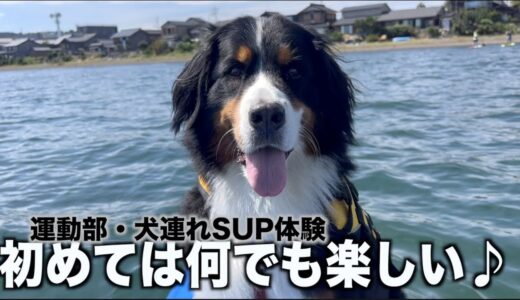 初めての犬連れSUPの方が集まりました！