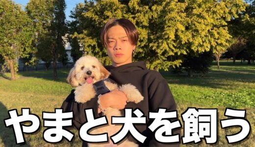 【トラウマ】犬苦手なやまとが遂に決心しました。