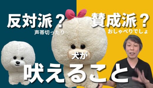 【犬のしつけ】犬が吠えることについてどう思いますか？【悩み相談ライブ切り抜き】