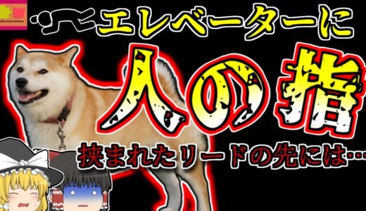 【2006年東京】エレベーターから飛び出した犬 リードが繋がったままドアが閉まり上昇し、飼い主の指が千切れる【ゆっくり解説】