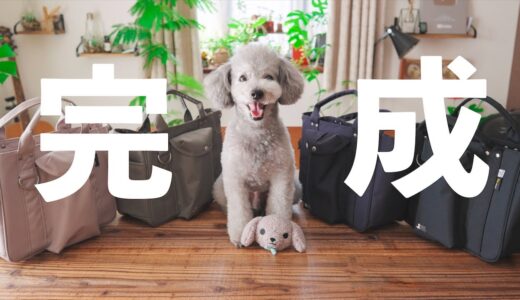 🐶犬を愛し過ぎた飼い主が、あのブランドと最高のお散歩バッグを作りました！！