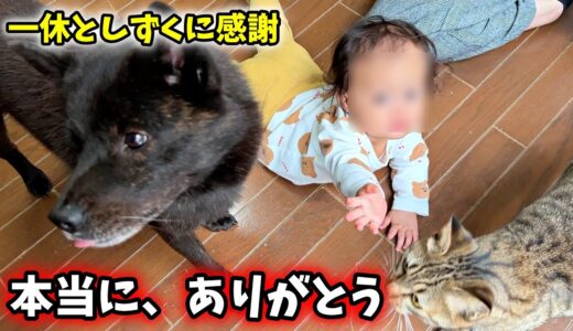 【感謝】炎上してしまった動画の翌日、驚くべきことがおきました