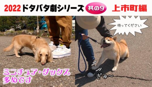 2022狂犬病予防注射会場のドタバタ劇・其の９ 上市町編