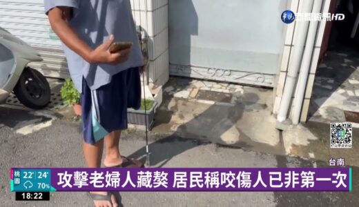 台南老婦遭2藏獒撲咬 捕犬員抓狗也被攻擊｜華視新聞 20221029