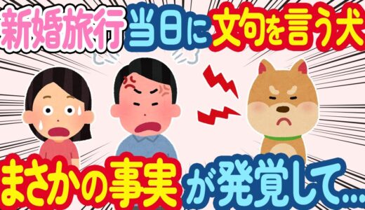 新婚旅行当日に犬が文句を言い始めた→夫「元々行けないって約束したでしょ」と言ったが、まさかの事実が発覚して...【2ch ほっこり】