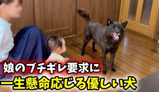 娘の要求に一生懸命応じる愛犬が優しすぎる、、無理しないでね・・・