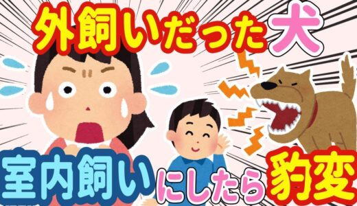 【2chほのぼの】ずっと外飼いしていた犬を室内飼いすることに→その日から犬の様子がおかしい…【ゆっくり】