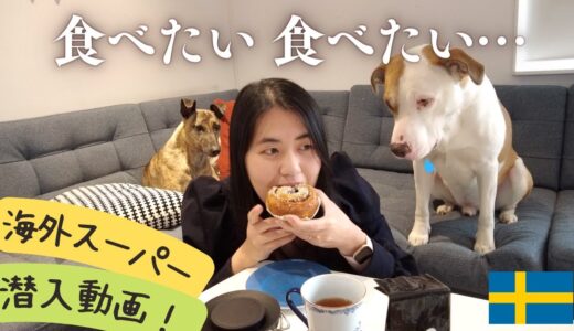 【スウェーデン生活】近所のスーパー初公開！犬と〇〇を食べる！