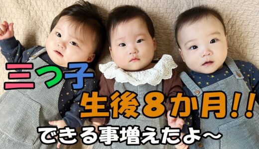 【生後8ヶ月】どんどん出来ることが増えていく三つ子。動き回る日も近い。