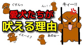 【犬 しつけ 無駄吠え】あなたの愛犬が吠える理由！新！遠藤エマチャンネル【犬のしつけ＠横浜】