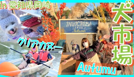 【犬市場 in 岡崎 Autumn】犬市場で愛犬トルテとクリアカヌーで大はしゃぎ🐶🎶可愛すぎる小人帽購入💕（後編）刈谷ハイウェイオアシスも🐶💕（トイプードルのTorte channel)