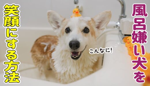 地獄の犬洗い、助っ人のおかげで笑顔になりました！