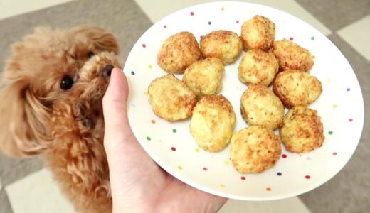 COSORIノンフライヤーで犬のご飯作ったらすごかった！【トイプードルのコロン】