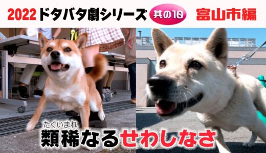 2022狂犬病予防注射会場のドタバタ劇・其の10 富山市編