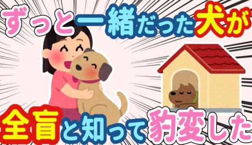 【2chほのぼの】ずっと一緒にいてくれた我が家の犬→全盲だったということを初めて知った…