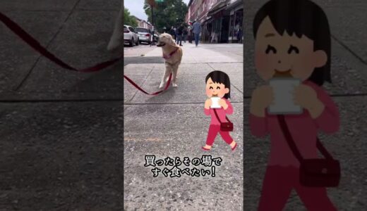 みんな違ってみんな良い。犬でやってみた　#shorts