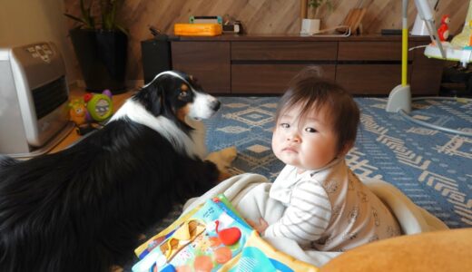 犬と猫と赤ちゃんの、ほっこり幸せな日曜日の過ごし方