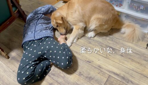 大型犬の全力のカマチョを女性が受け止めるとこうなります