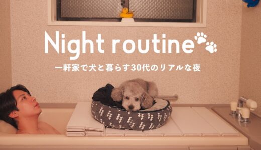 🐶【ナイトルーティン】犬とイチャイチャするだけの幸せな秋夜の過ごし方