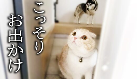 飼い主のお見送りに間に合わなかった犬が...