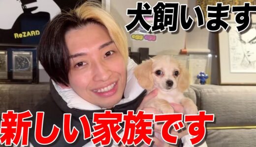 【ご報告】犬飼います！大切な家族が増えました