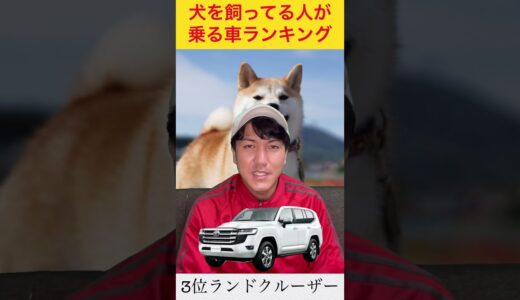 犬を飼ってる人が乗る車ランキング#shorts