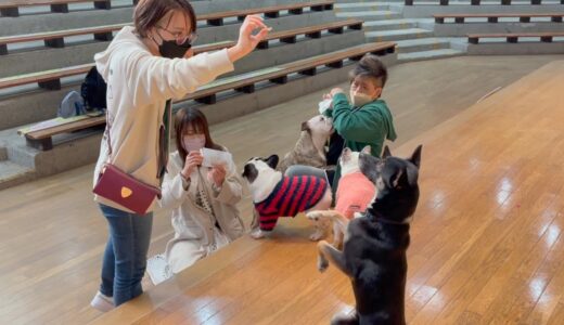 うちの人見知りすぎる保護犬が、はじめて初対面の人の言うことを聞いた記念日