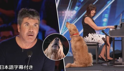 【和訳】４度目の翻訳🐶 サイモンの夢、歌うイヌがついに登場!? | AGT 2018