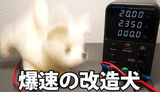 犬に高電圧を与えて改造した動画