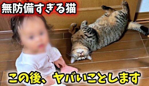 猫が娘に無防備すぎて・・・【甲斐犬一休と猫のしずくと僕のチャンネル】