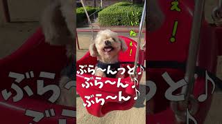 やっぱりブランコを楽しむ犬 【関西弁でしゃべる犬】#309 A dog that enjoys swings after all 【Dog talking 】 #shorts