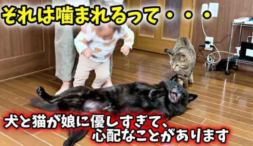 どうすれば・・・犬と猫が娘に優しすぎて、心配なことがあります