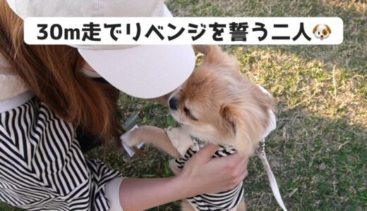 運動神経が悪い犬が30m走に出たらかわいすぎたw【うわうわ犬】