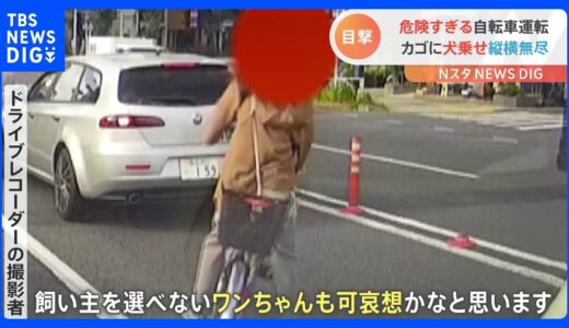 「飼い主を選べないワンちゃんも可哀想」自転車のカゴに犬を乗せ、車の間を横断…ドライブレコーダーが捉えた“危険な走行”｜TBS NEWS DIG