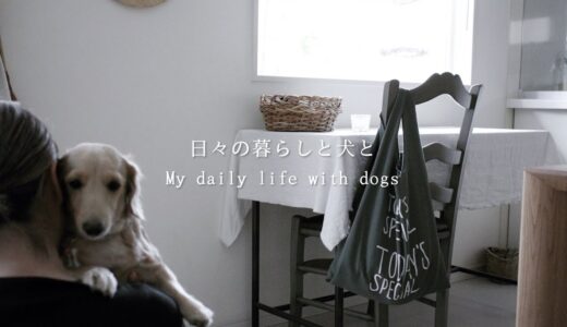 SUB【暮らしvlog】色々な事がありました/My daily life with dogs