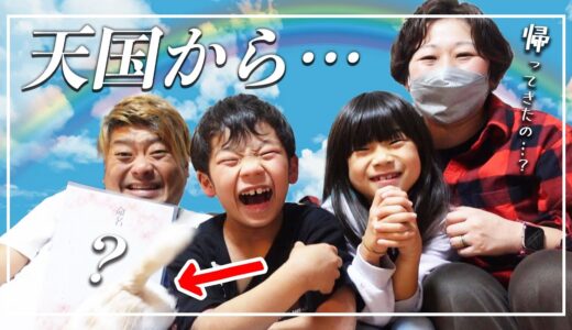 【新しい家族🐶】亡くなった愛犬たちが天国から？😢🌈　お迎えした子犬🐶のご紹介＆お名前発表🐾【 ペット｜犬｜dog 】