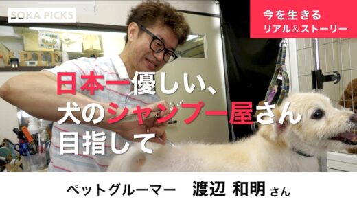 「10年間トリミングできなかった犬が･･･」“日本一優しい犬のシャンプー屋さん”人気ペットグルーマーに密着｜創価学会公式