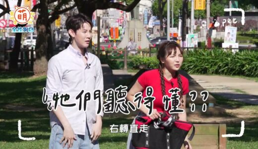 【 萌寵明星粗乃玩 】EP13預告 犬明星運動大會開跑！狗狗們能挺過貪吃迷宮嗎？@haveapetday