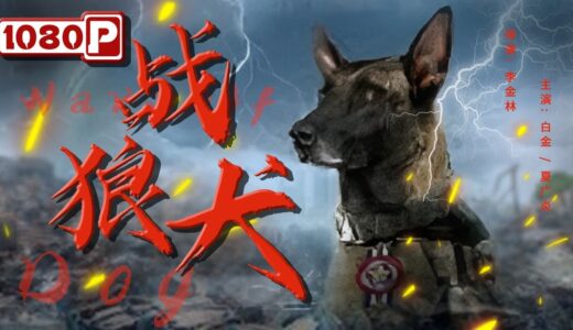 《#战狼犬》/ Warwolf Dog 无良老板欠债跑路丢下狗 好心女孩领养却发现这只狗不简单（白金 / 夏广炎）