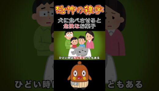 恐怖の雑学  犬がお菓子食べて死ぬ！？ #shorts 怖い雑学 ゾッとするような雑学 豆知識