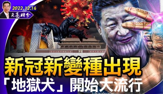 新冠變種“地獄犬”病毒出現，可不可怕？國會兩黨要禁抖音，能成功嗎？中共招回曼城打人外交官（政論天下第878集 20221214）天亮時分