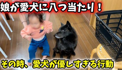 【優しすぎ】娘に八つ当たりされた愛犬がとった行動が・・・