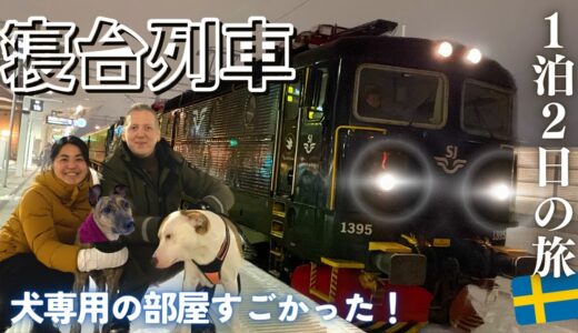 愛犬と18時間かけて帰省🏠 犬も乗れる列車に感動回！【🇸🇪横断旅】