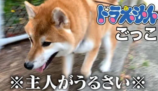 犬の散歩を「ドラえもんのモノマネ」しながらする衝撃的なお散歩がこちら…【和風総分家】