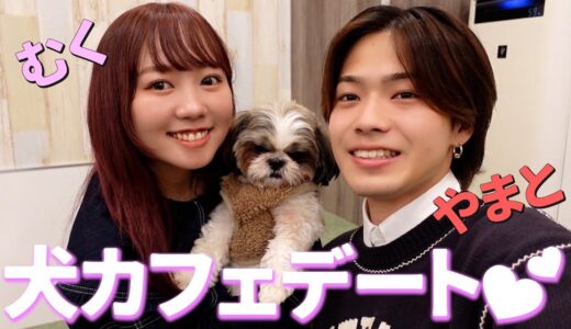 異色コンビで犬カフェデートしたら予想外に楽しすぎた！【コムドットやまと】